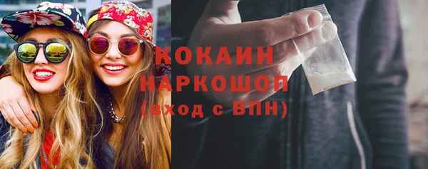 шишки Нязепетровск