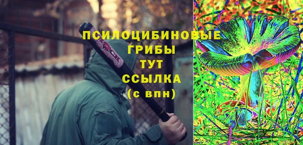 шишки Нязепетровск