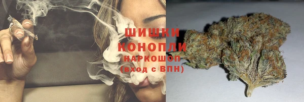 дурь Осинники