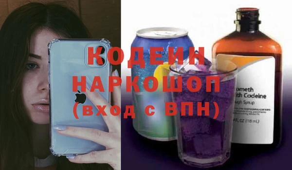 шишки Нязепетровск