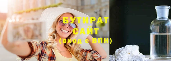 индика Осташков