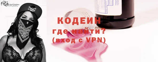 индика Осташков