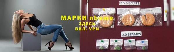 индика Осташков