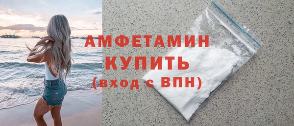 индика Осташков