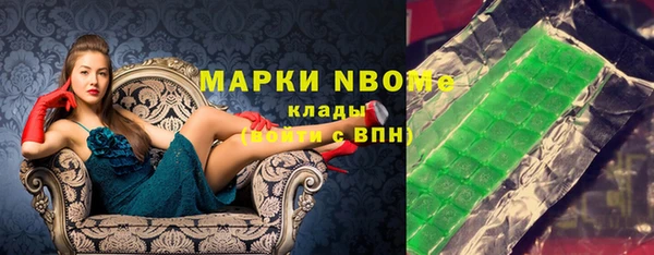 индика Осташков