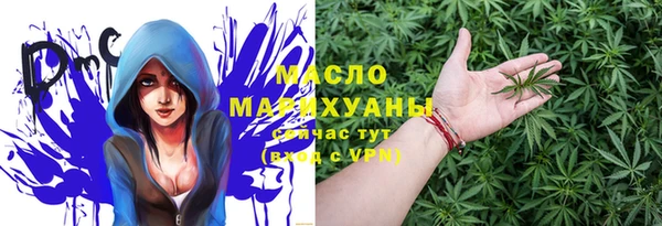 индика Осташков