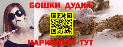 прущие крисы Камышлов