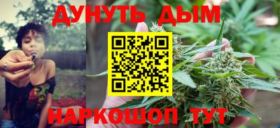 прущие крисы Камышлов