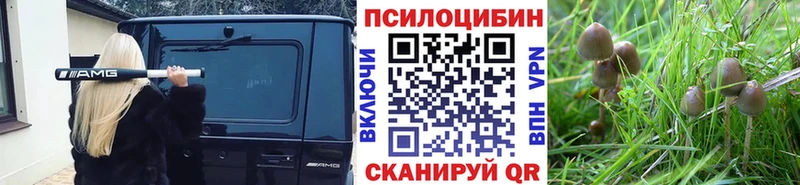 Псилоцибиновые грибы мухоморы Назрань