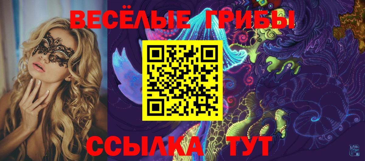 Галлюциногенные грибы Cubensis  Назрань 