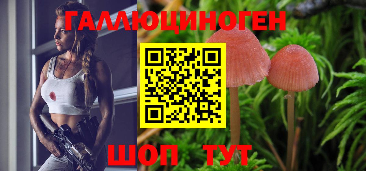 Галлюциногенные грибы мицелий Назрань